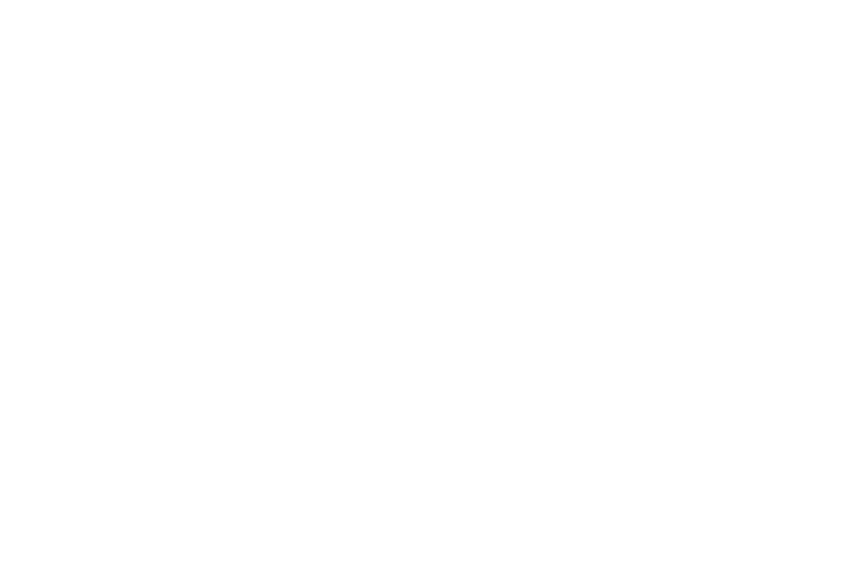 OFFICIAL SELECTION - COLIFFE International Film Festival - 2025 (1)